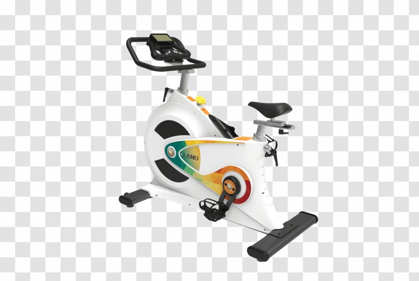 Elliptical Trainers Exercise Bikes Indoor Cycling Fitness Centre Physical - Spin Fishing Transparent PNG