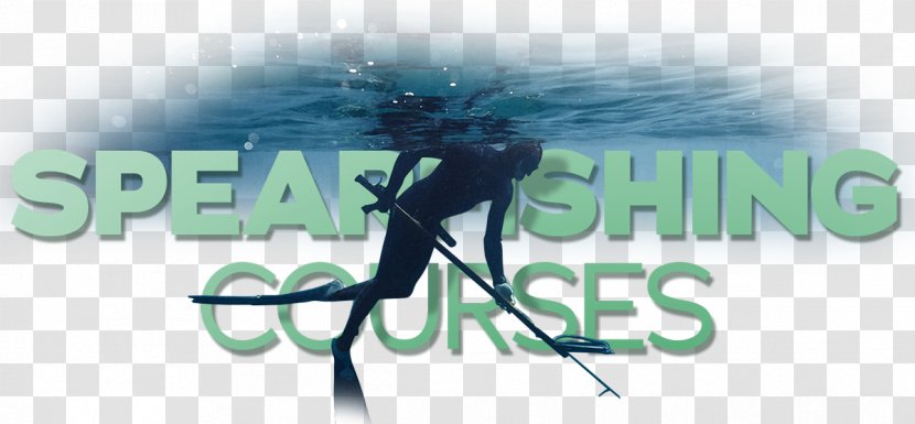Free-diving Spearfishing Underwater Diving Scuba Speargun - Spear Fisherman Transparent PNG