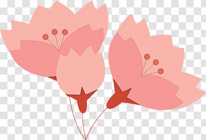 Cherry Flower Floral Flower Transparent PNG