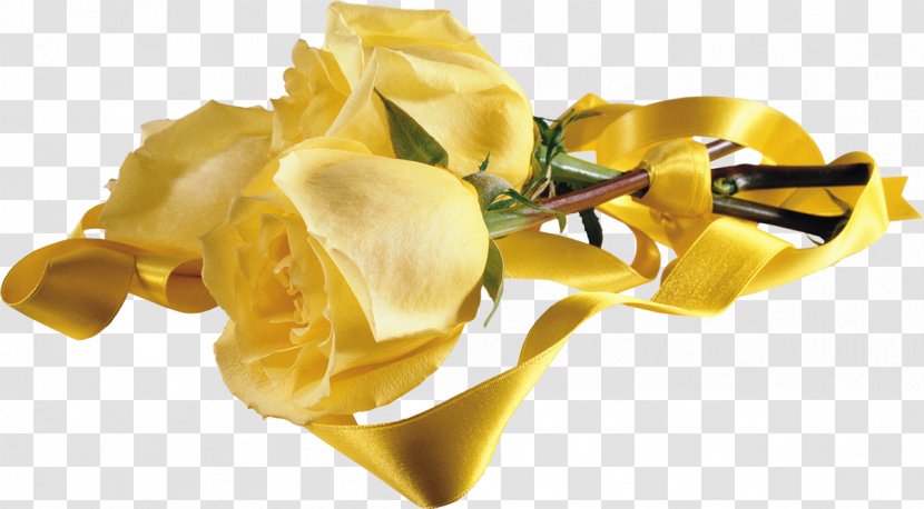 Rose Clip Art - Cut Flowers - Gurdwara Transparent PNG