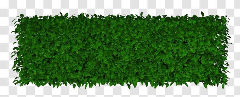 Lawn Artificial Turf Garden Hedge - Grass - Grassland Transparent PNG