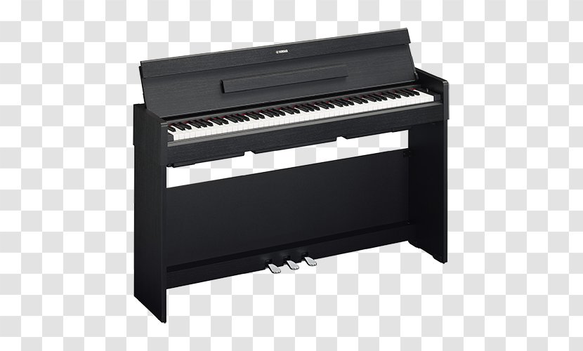 Digital Piano Yamaha Corporation Arius YDP-S52 Keyboard - Cartoon Transparent PNG