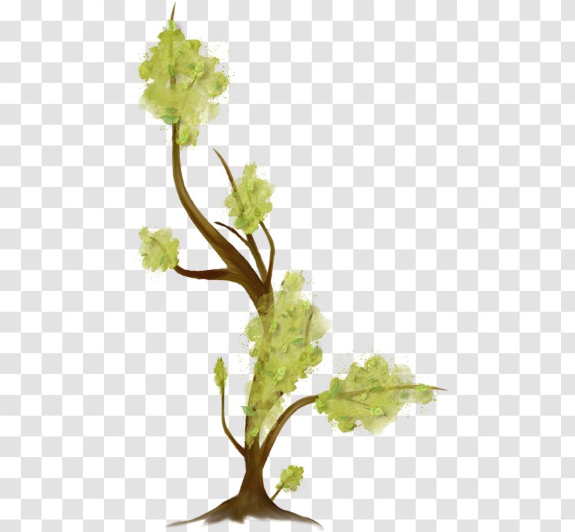 Twig Tree Branch - Plant Transparent PNG