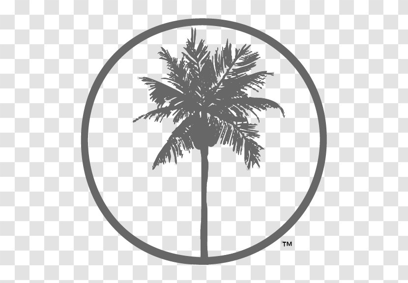 Palm Trees Cushion Coconut Giraffe - Poster - Tree Transparent PNG