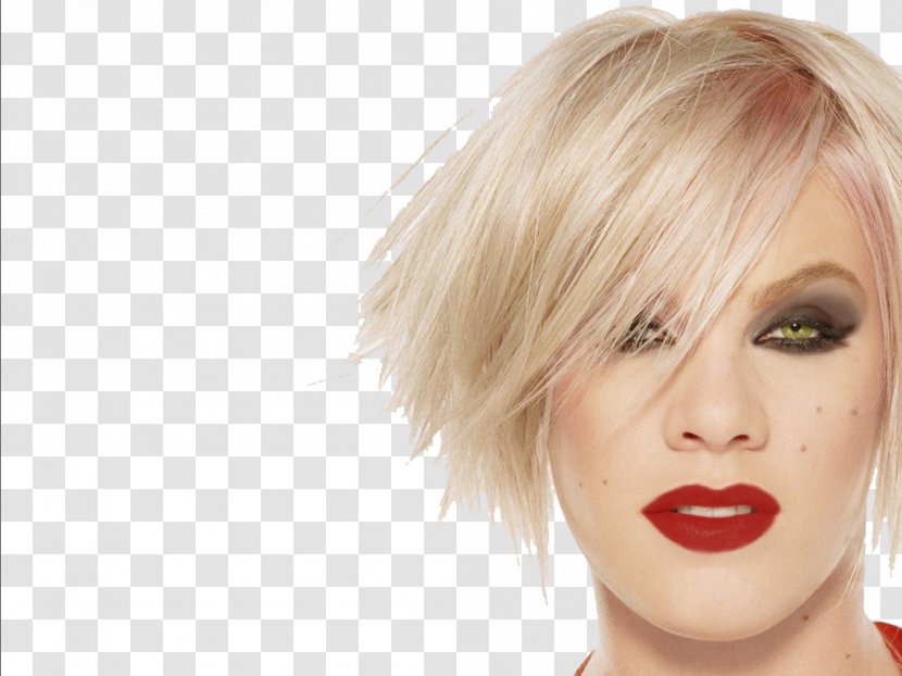 P!nk Image Resolution - Silhouette - Alecia Moore File Transparent PNG