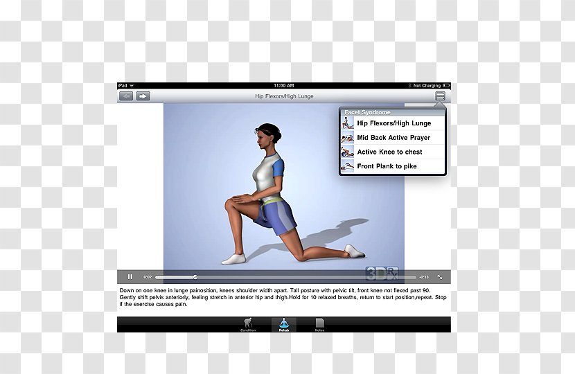 Multimedia Shoulder Product Design Physical Fitness Hip - Frame Transparent PNG