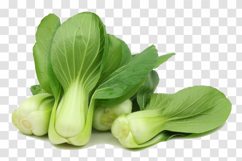 Cruciferous Vegetables Cabbage Spring Greens Choy Sum Transparent PNG