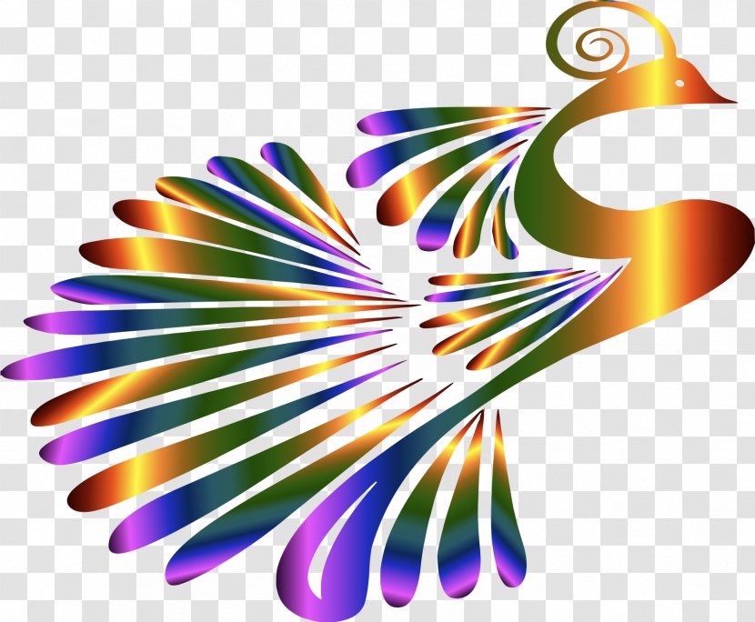 Bird Peafowl Clip Art - Feather - Peacock Transparent PNG