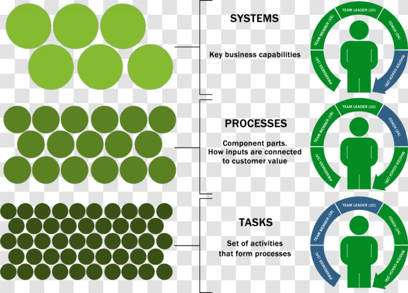 Train Product Knowledge Education Skill - Leaf Transparent PNG