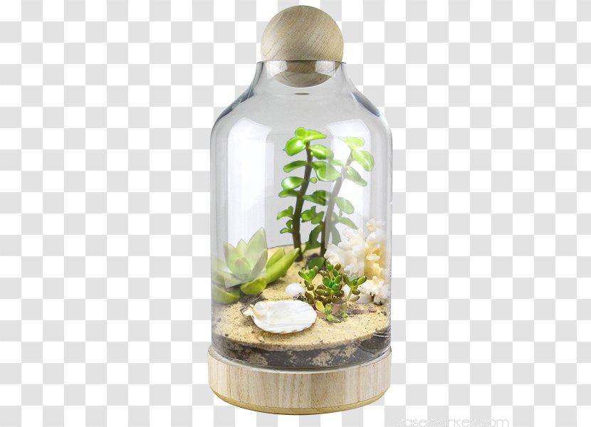 Glass Bottle Bell Jar Cloche Terrarium Transparent PNG