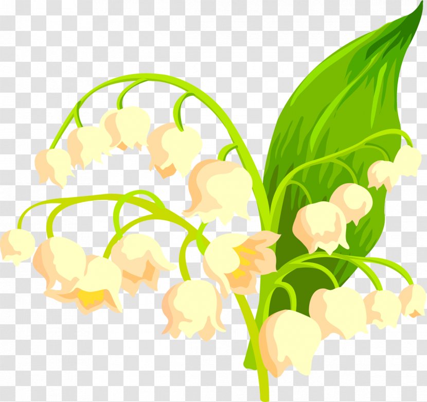 Cut Flowers Floral Design Floristry - Flora - Lily Of The Valley Transparent PNG