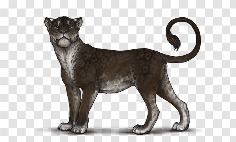 Big Cat Lion Terrestrial Animal Transparent PNG