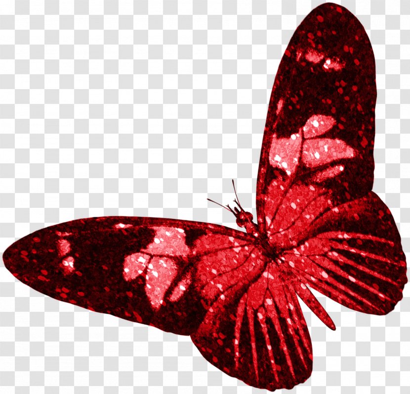 Butterfly Insect Red - Moth Transparent PNG