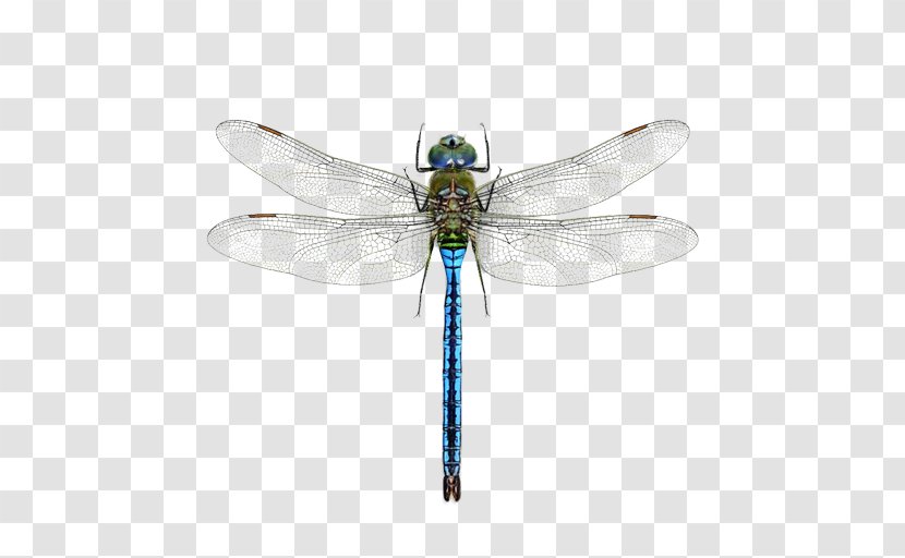 A Dragonfly? Mosquito Pterygota Halloween Pennant - Mosaic Darners - Dragonfly Transparent PNG