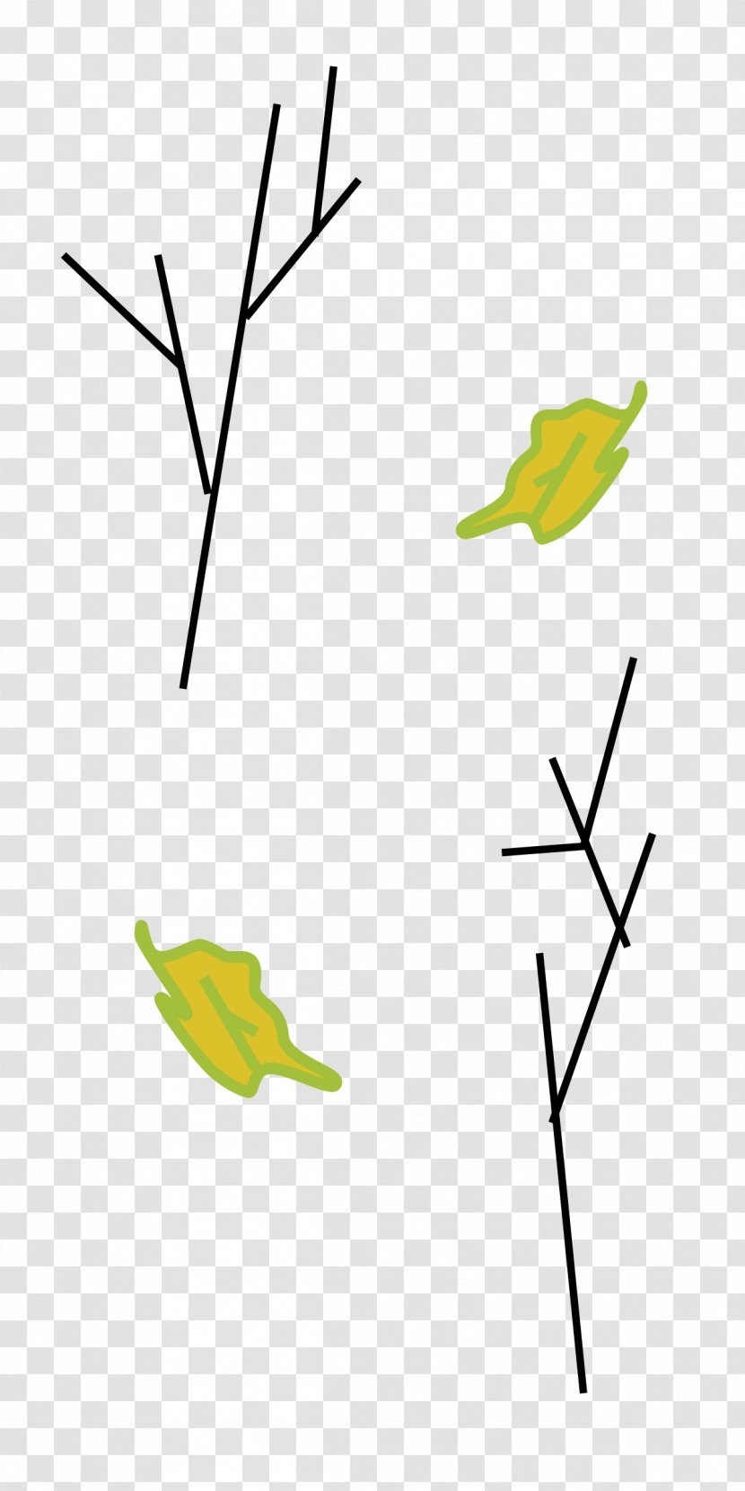 Branch Leaf Plant Stem Clip Art - Wing - Number Of Branches Transparent PNG