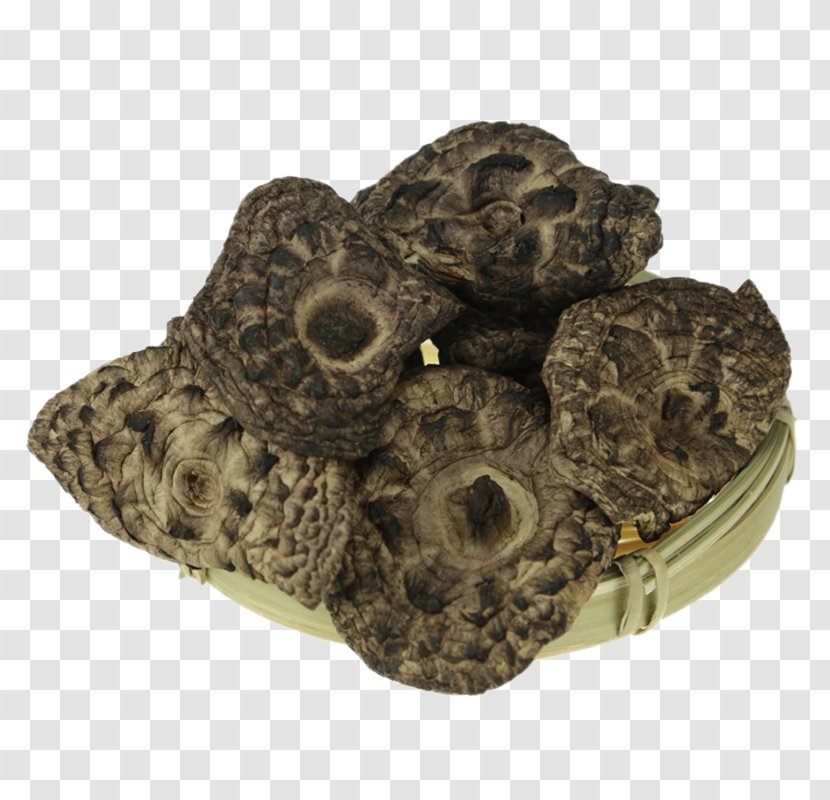 Food Black Mushroom - Flower Transparent PNG