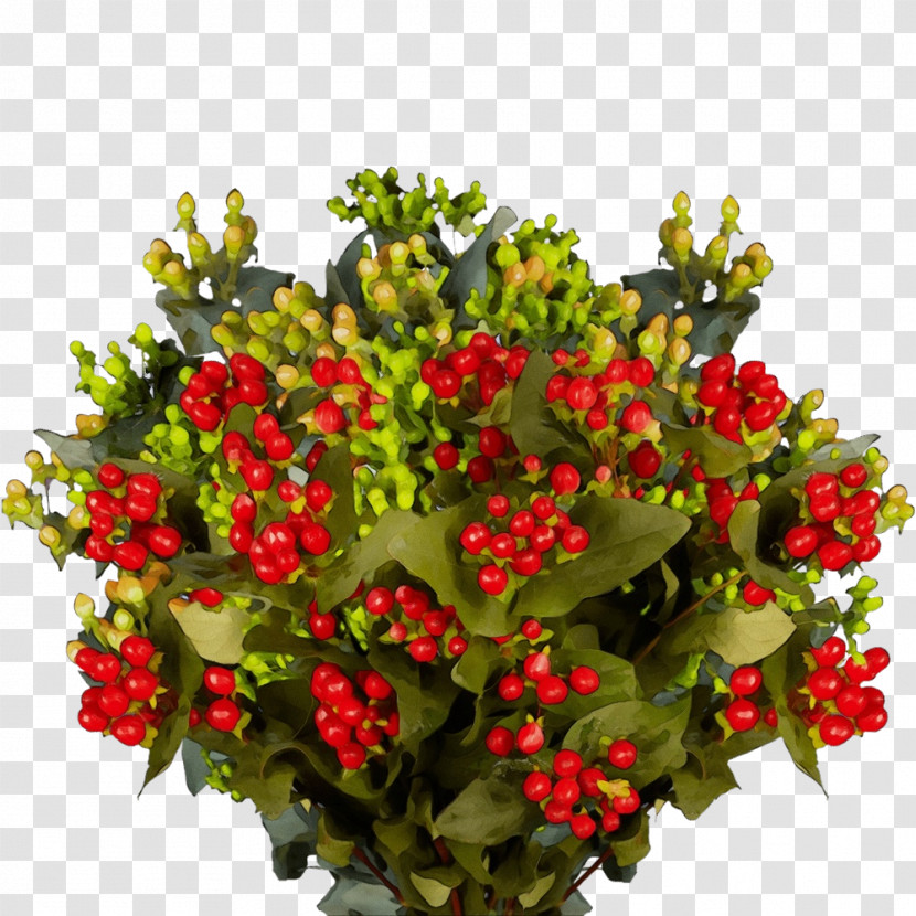 Floral Design Transparent PNG