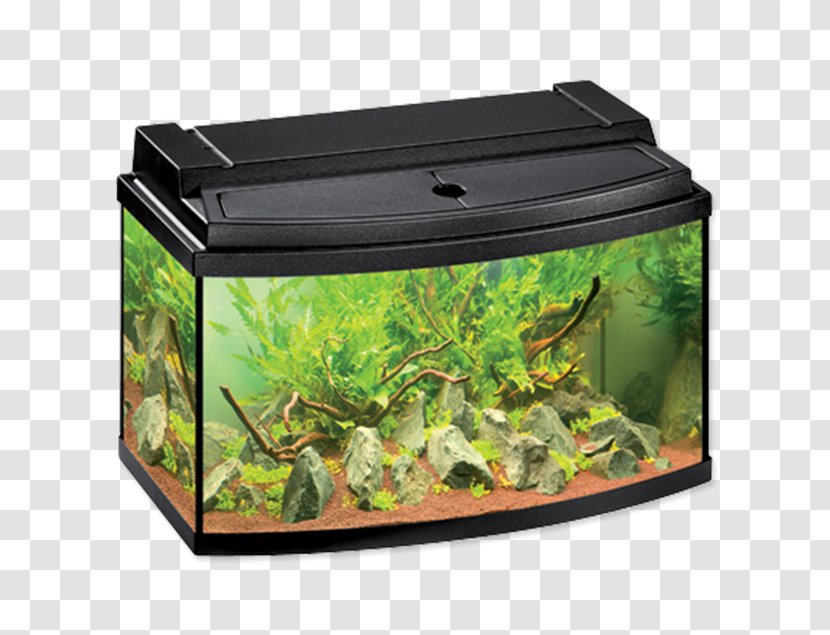 Aquarium Filters Eheim Helsingin Akvaariokeskus Innenfilter - Nano - Akvarium Transparent PNG