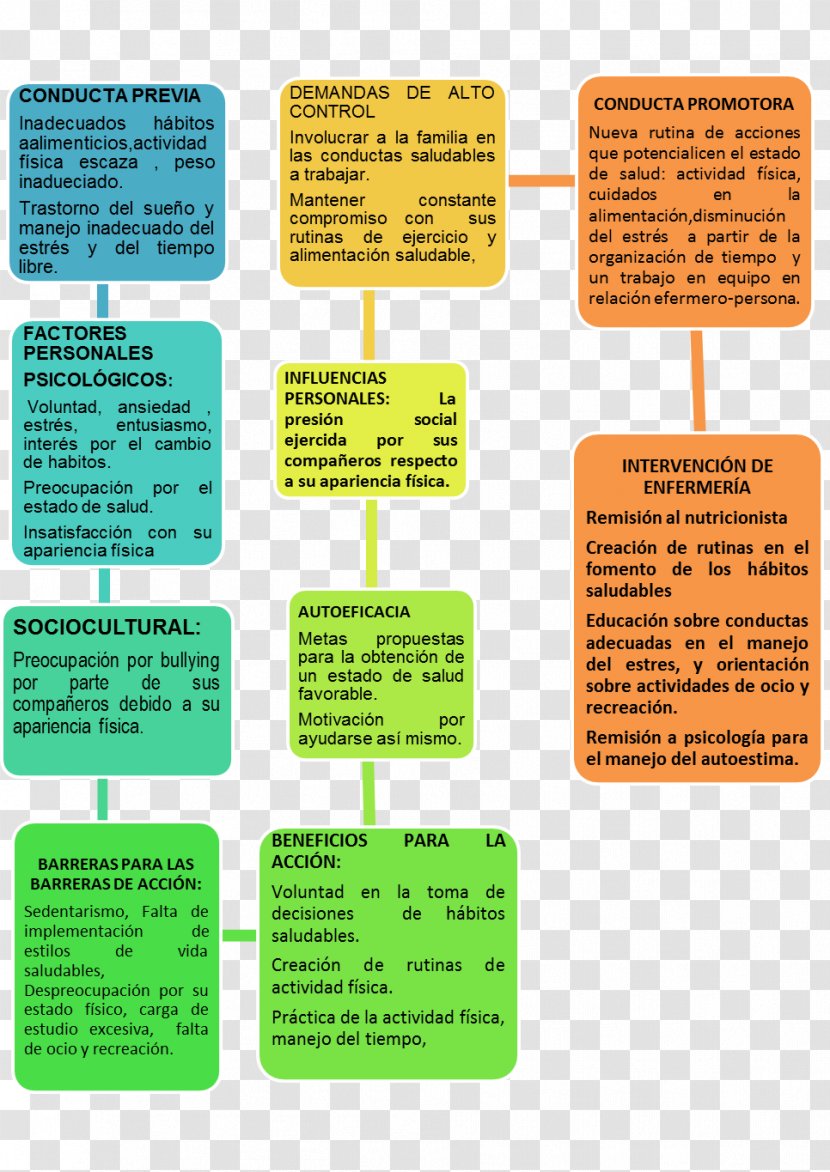Theory Culture Transcultural Nursing Concept Map Paradigm - Text Transparent PNG