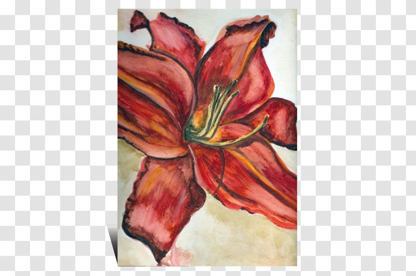 Canna Amaryllis Belladonna Indian Shot Flower Art - Ink Watercolor Transparent PNG