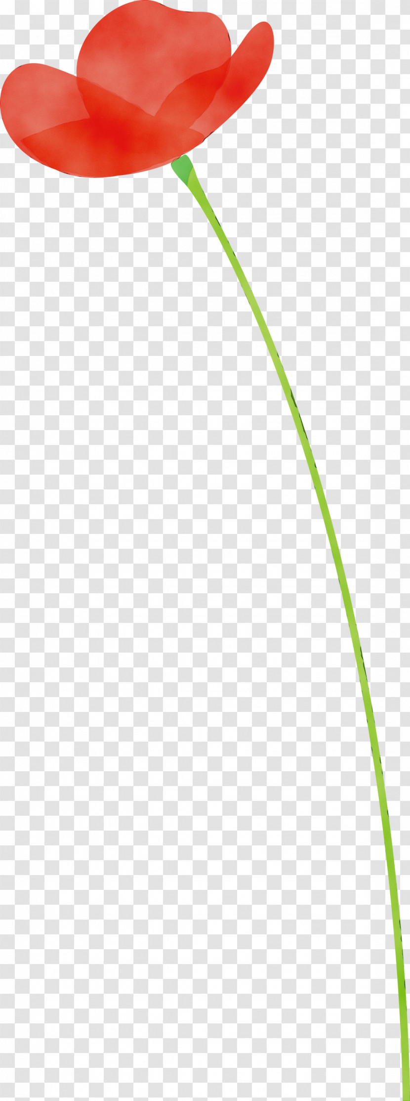 Green Grass Family Plant Grass Line Transparent PNG