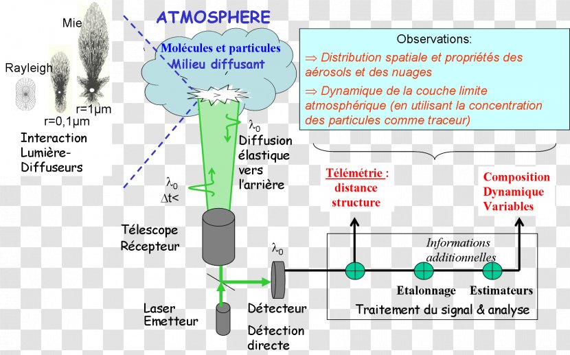 Line Angle Technology Water Diagram - Tree Transparent PNG