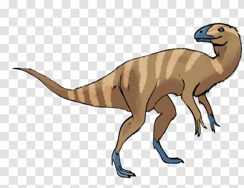 Velociraptor Eoraptor Lunensis Saurischia Drawing Animal - Dinosaur Transparent PNG