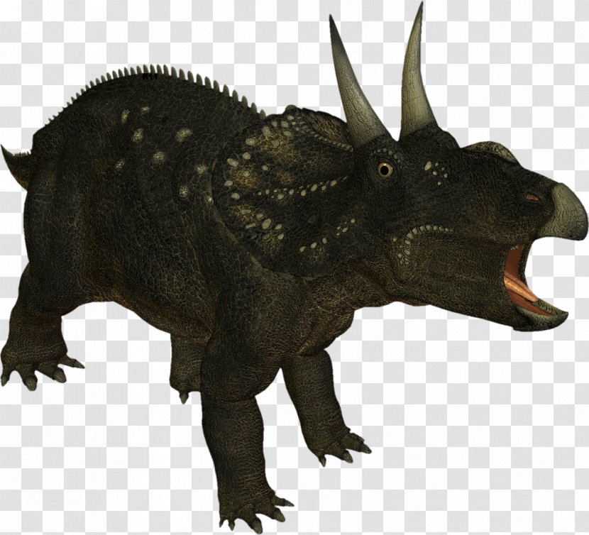 Dinosaur Triceratops Tyrannosaurus Dilophosaurus Ceratosaurus Transparent PNG