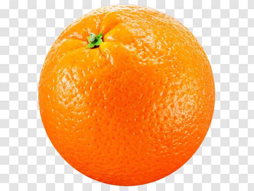 Clementine Joke Tangerine Mandarin Orange - Cartoon Transparent PNG