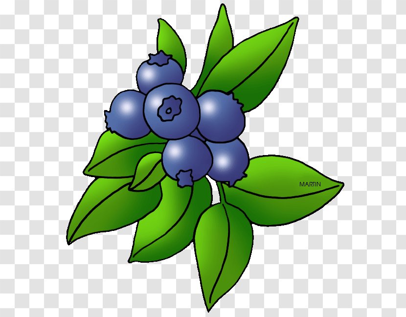 Blueberry Pie Raspberry Clip Art - Flowering Plant - Cliparts Transparent PNG