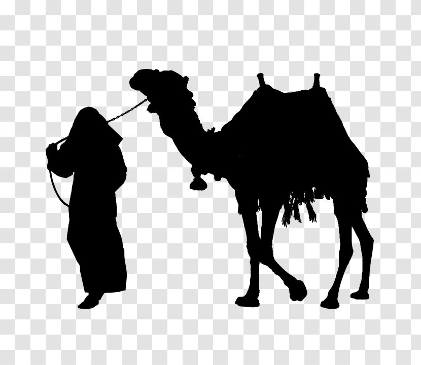 Camel Silhouette Clip Art - Like Mammal Transparent PNG