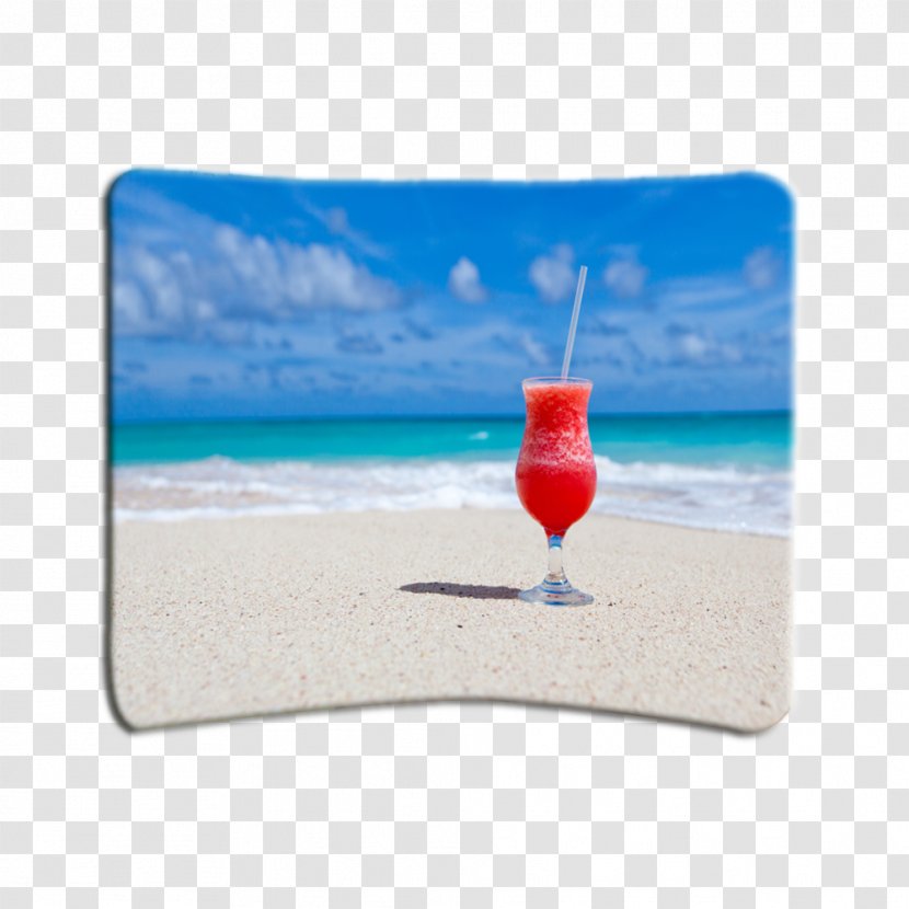 Palm Beach Hotel Tropical Islands Resort House - Party Transparent PNG