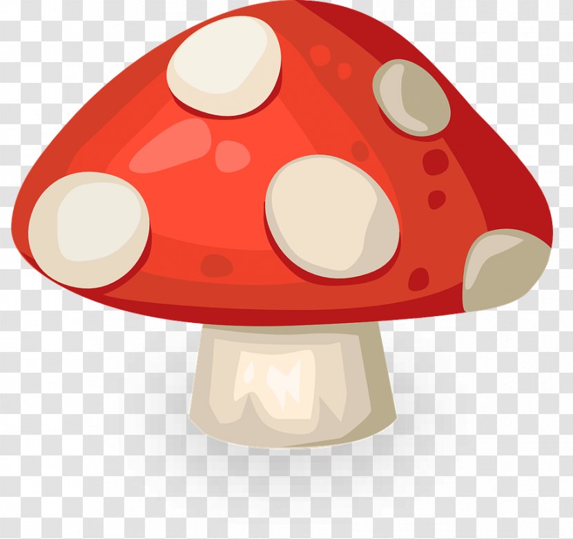 Mushroom Photography Clip Art Transparent PNG