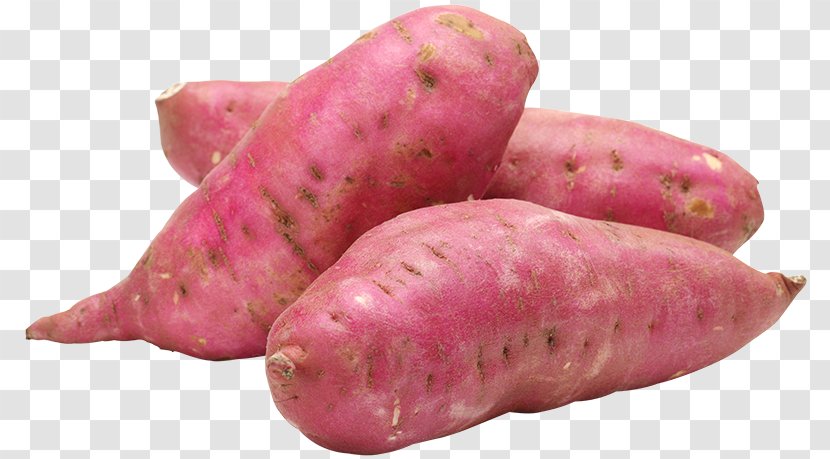 Sweet Potato Organic Food Health - Fruit - BATATA Transparent PNG