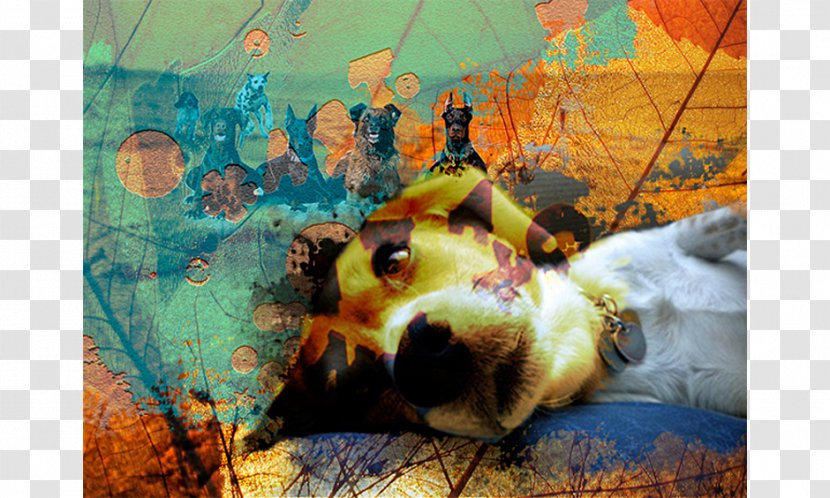 Dog Painting Desktop Wallpaper Snout Photography - Like Mammal Transparent PNG