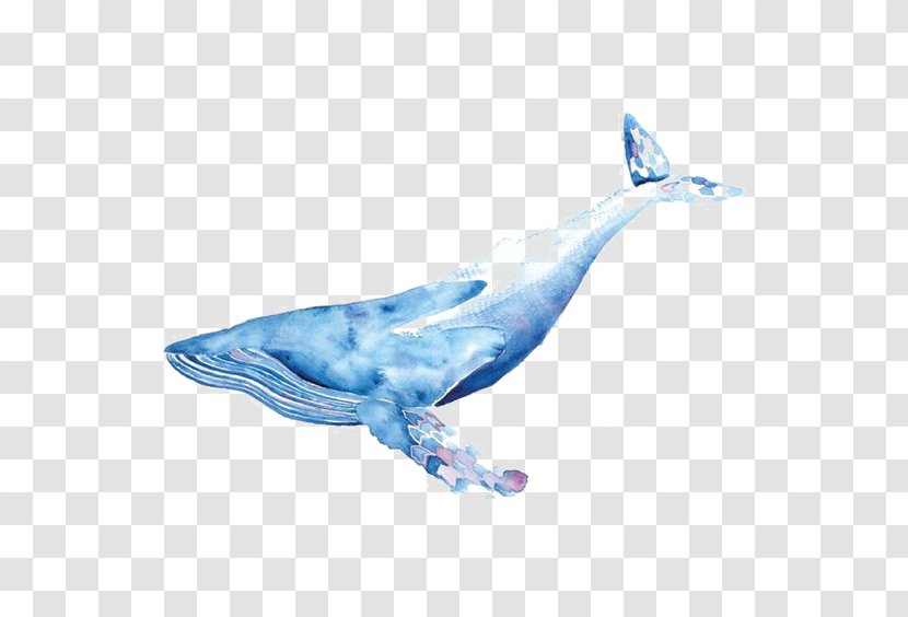 Blue Whale Watercolor Painting Drawing Illustration - Rgb Color Model Transparent PNG
