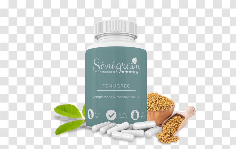 Fenugreek Dietary Supplement Pharmaceutical Drug Health Food - Spice - BOTIQUE Transparent PNG