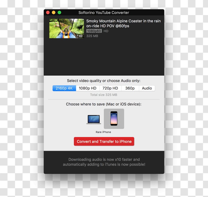 Softorino YouTube Converter Freemake Video Downloader - Flower - Youtube Transparent PNG
