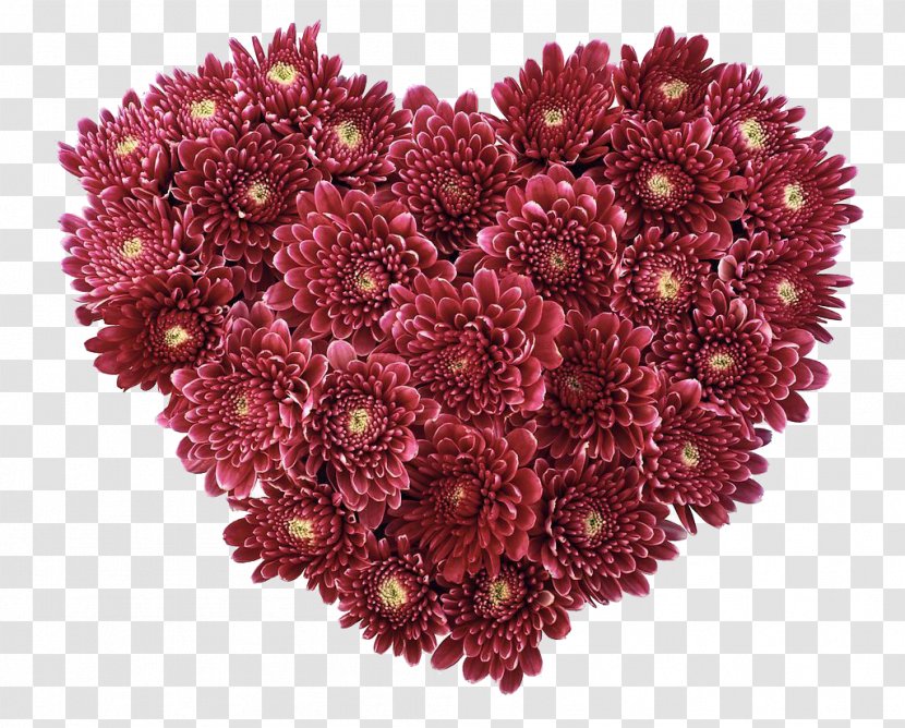 Flower Heart Love Valentines Day Wallpaper - Cut Flowers - Red Chrysanthemum Transparent PNG