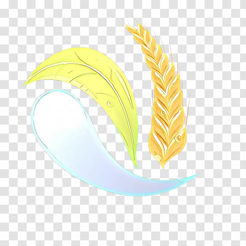 Feather - Leaf - Plant Transparent PNG