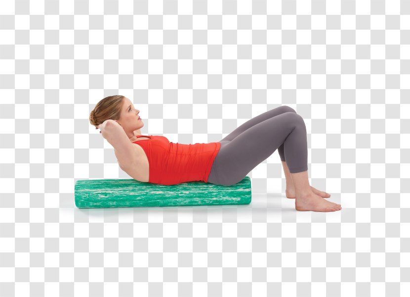 Northampton Physical Therapy Exercise Fascia Training Stretching - Cartoon - Foam Roller Transparent PNG
