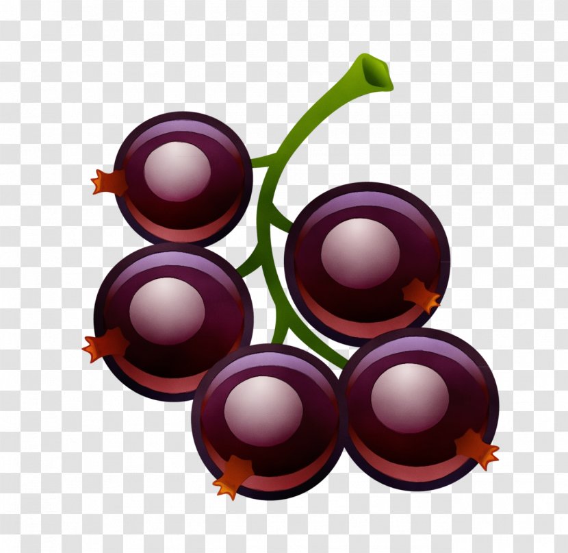 Violet Purple Plant Grape Fruit - Berry Vitis Transparent PNG