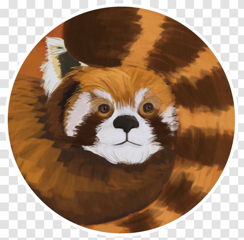 Red Panda Whiskers Giant Fur Snout - Carnivoran Transparent PNG