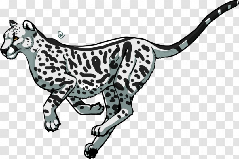 Cheetah Lion Cartoon Clip Art - Organism - Pictures Transparent PNG