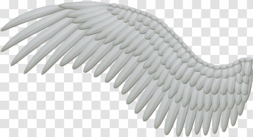 Angel Wing Feather Clip Art - Black And White - Wings Transparent PNG