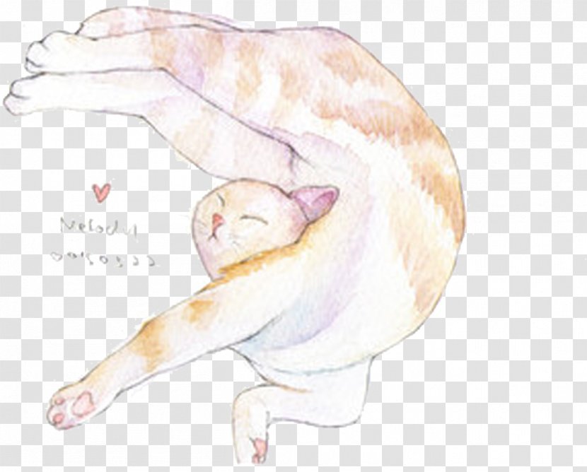 Cat Carnivora Illustration - Designer - Cute Watercolor Shape Transparent PNG