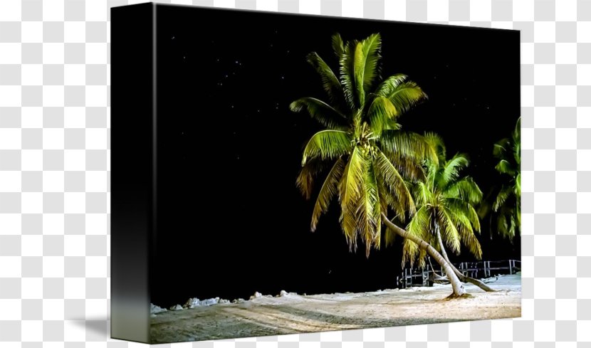 Picture Frames Image - Tropic Night Transparent PNG