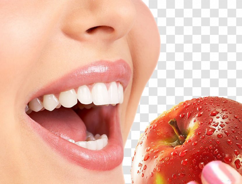 Human Tooth Whitening Beauty Smile - Cartoon - Strong Teeth Transparent PNG