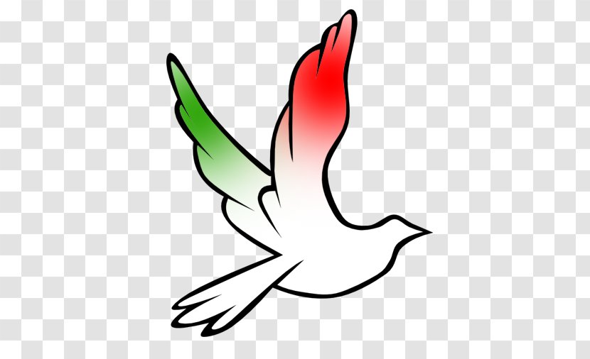 Rock Dove Doves As Symbols Peace Columbidae - Bird - Symbol Transparent PNG