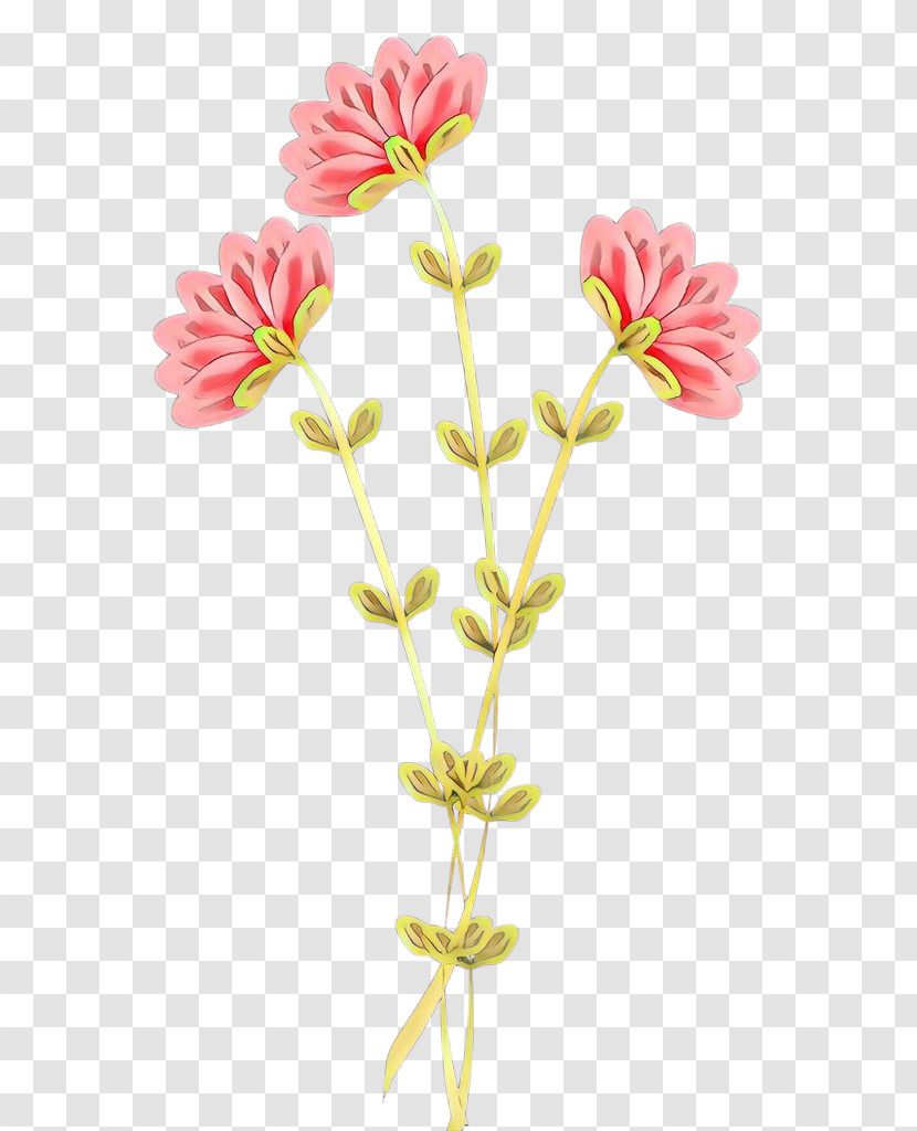 Flower Cut Flowers Plant Pedicel Plant Stem Transparent PNG